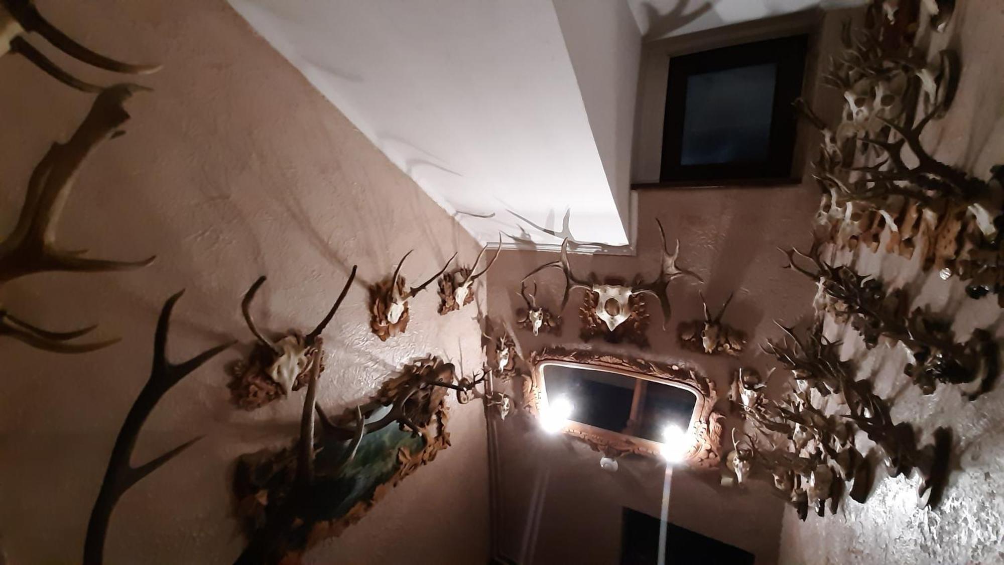 Затишок в Карпатах Apartment Сколе Екстериор снимка